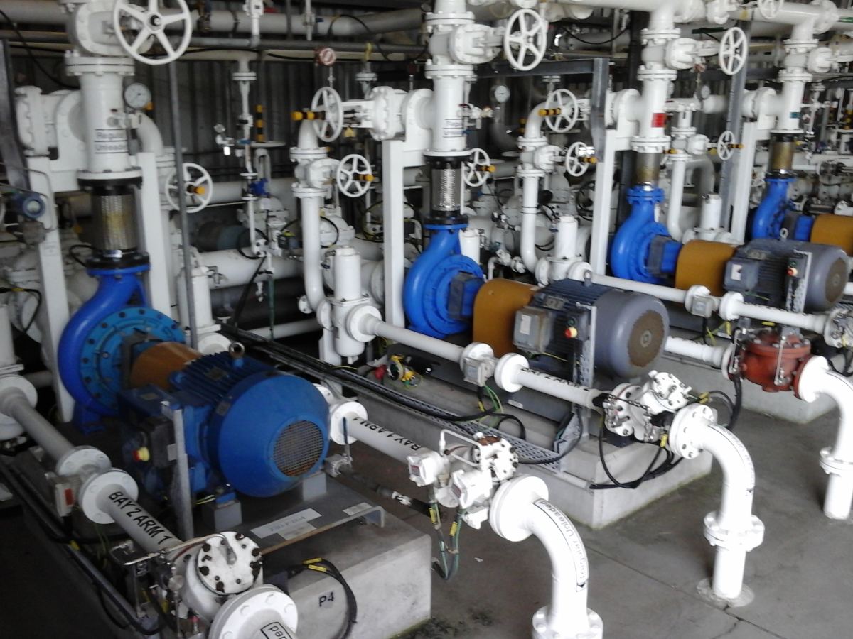Extension of sewage and electricity